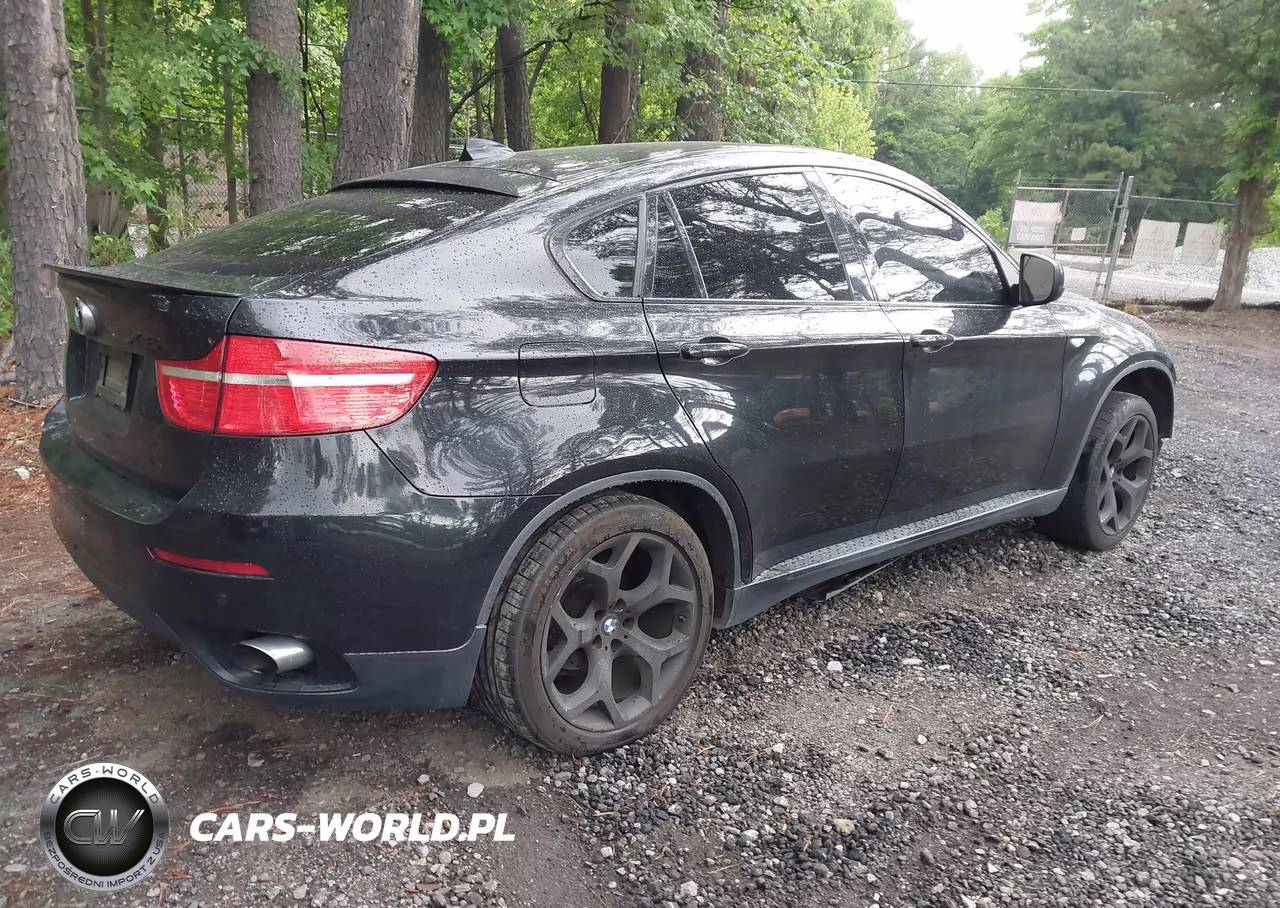 2011 BMW X6 xDrive35I VIN:5UXFG2C5XBLX07826 - 4