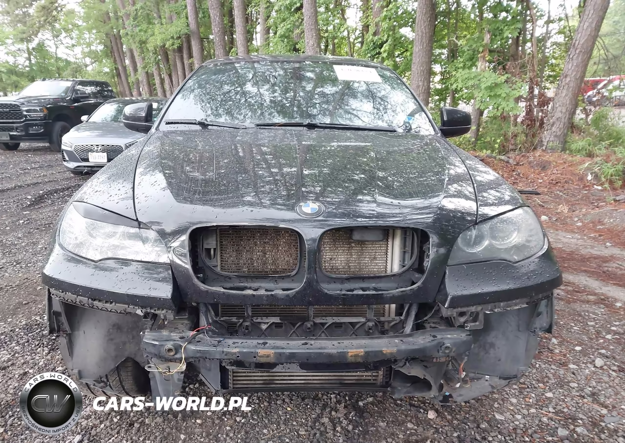 2011 BMW X6 xDrive35I VIN:5UXFG2C5XBLX07826 - 6