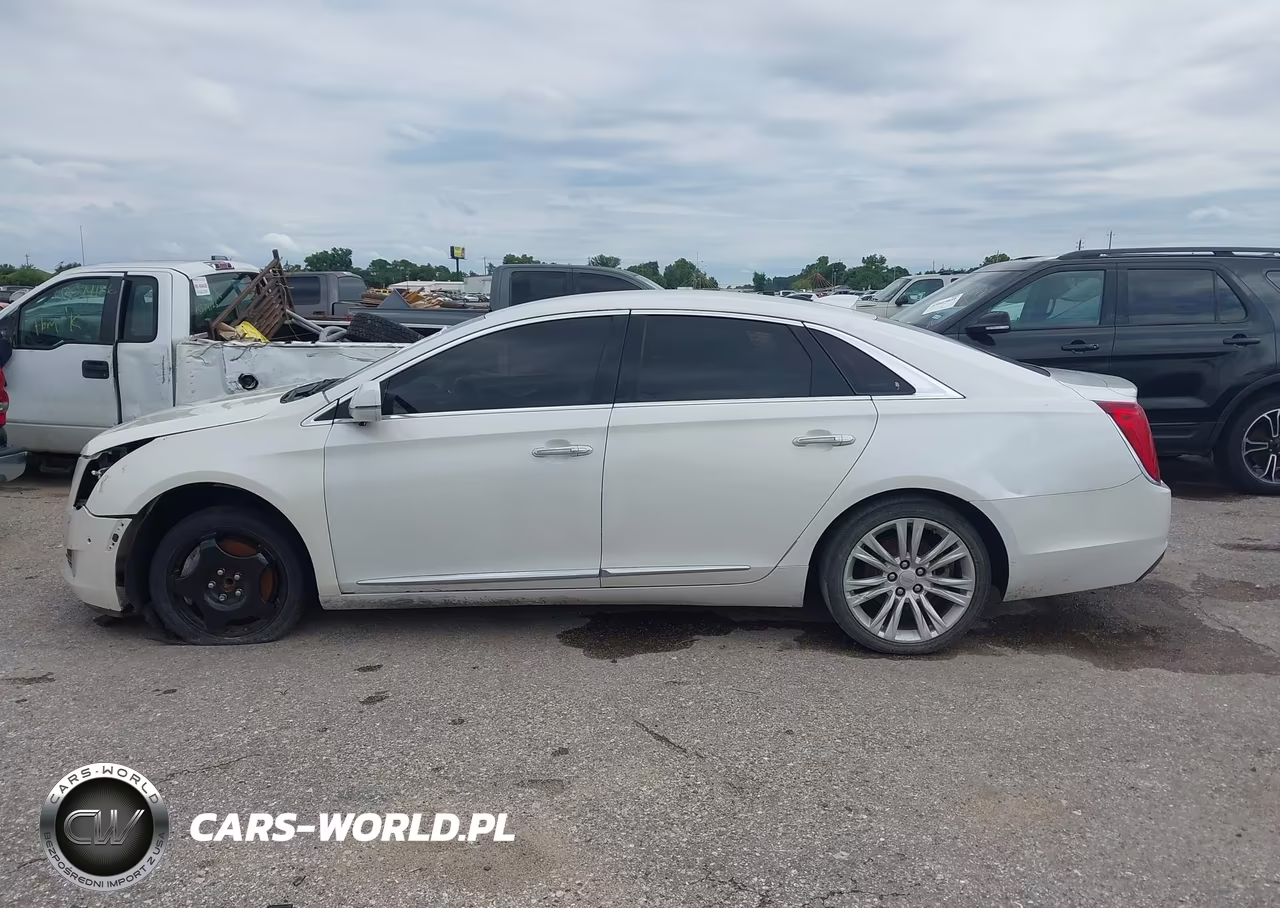2019 Cadillac Xts Luxury VIN:2G61M5S34K9122806 - 14
