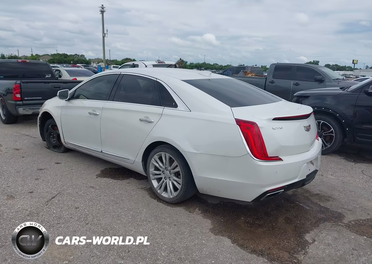 2019 Cadillac Xts Luxury VIN:2G61M5S34K9122806 - 3