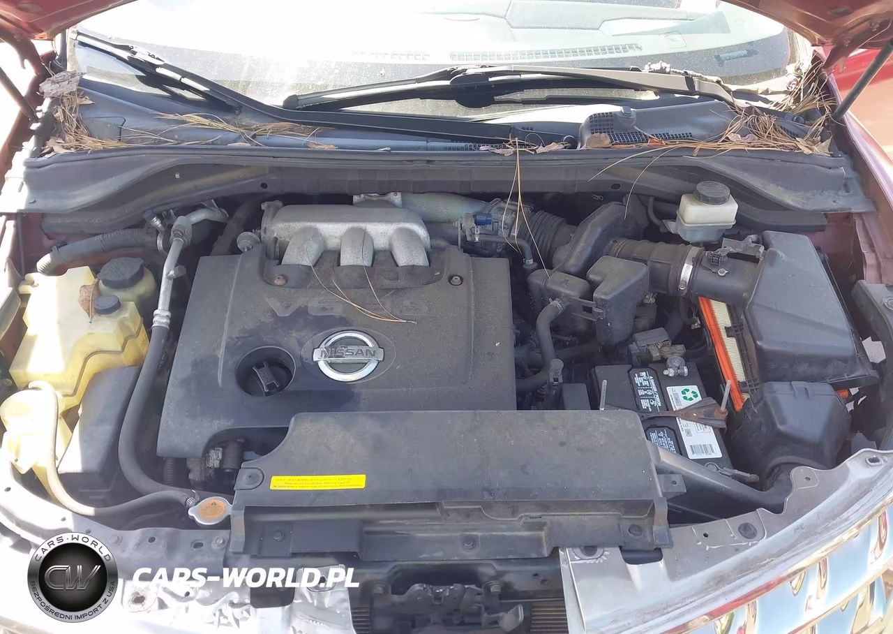 2006 Nissan Murano Sl VIN:JN8AZ08W26W523212 - 10