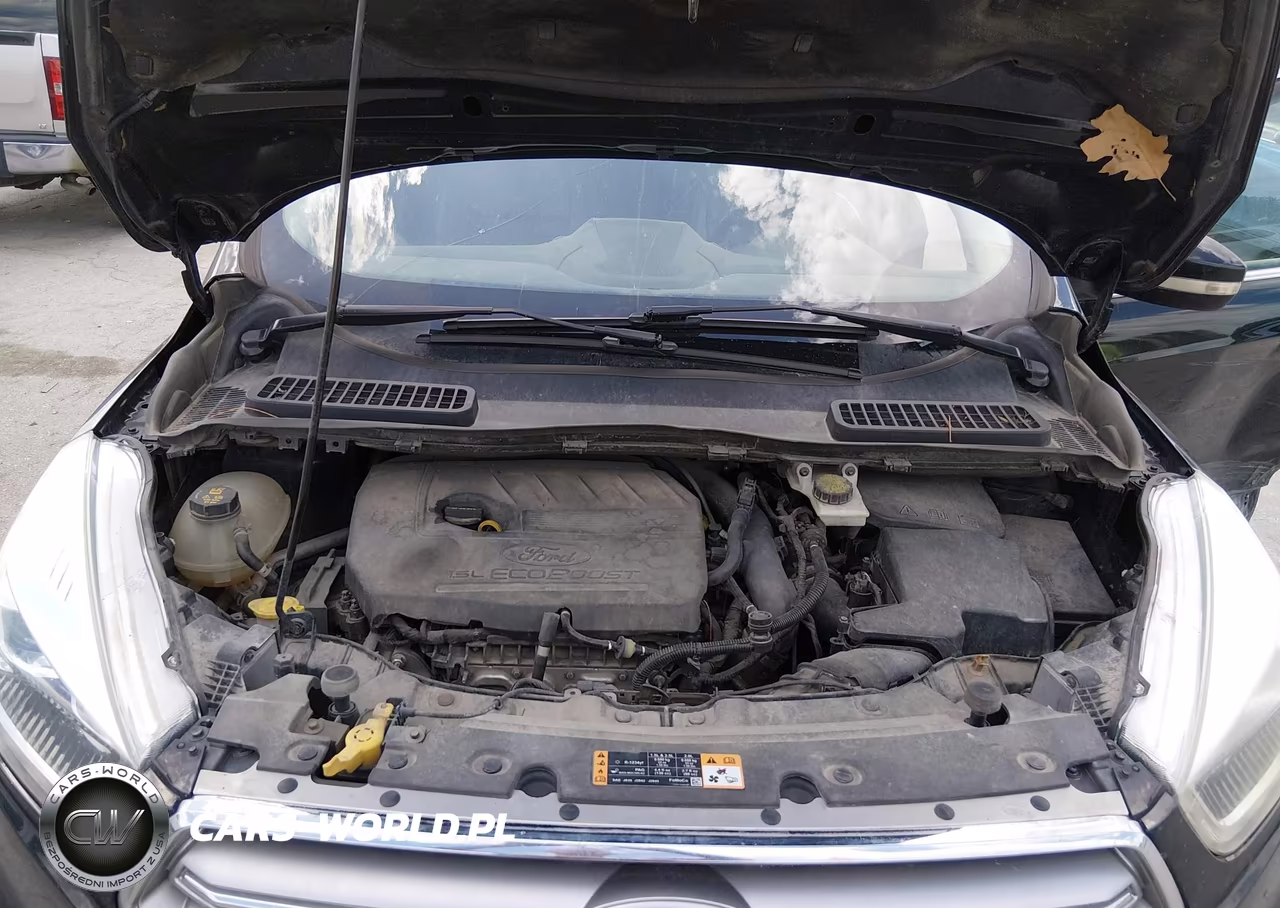 2017 Ford Escape Titanium VIN:1FMCU0JD0HUE95433 - 10