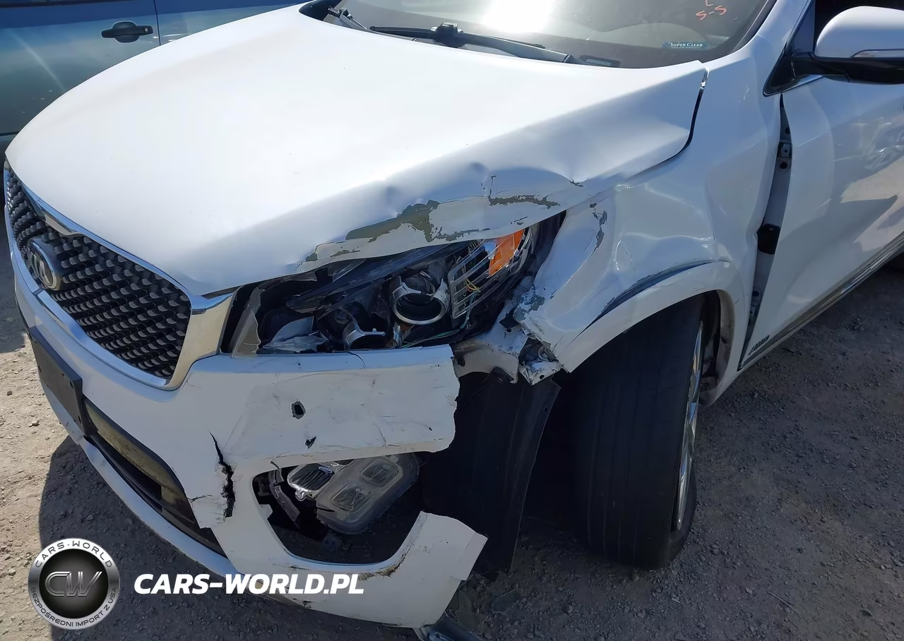2016 Kia Sorento 3.3L Sxl VIN:5XYPKDA53GG088993 - 6