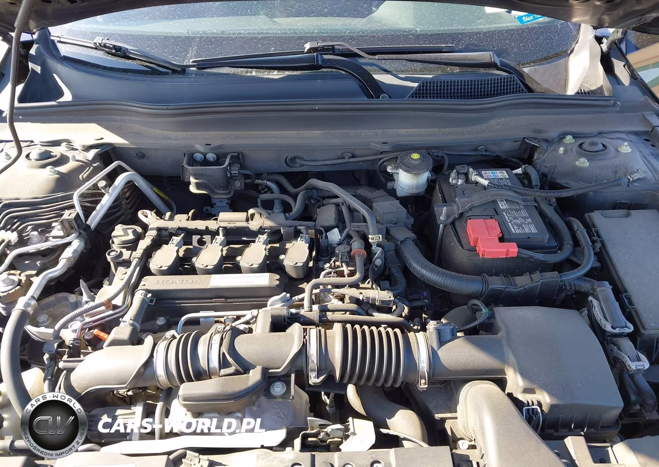 2019 Honda Accord Lx VIN:1HGCV1F13KA016051 - 10