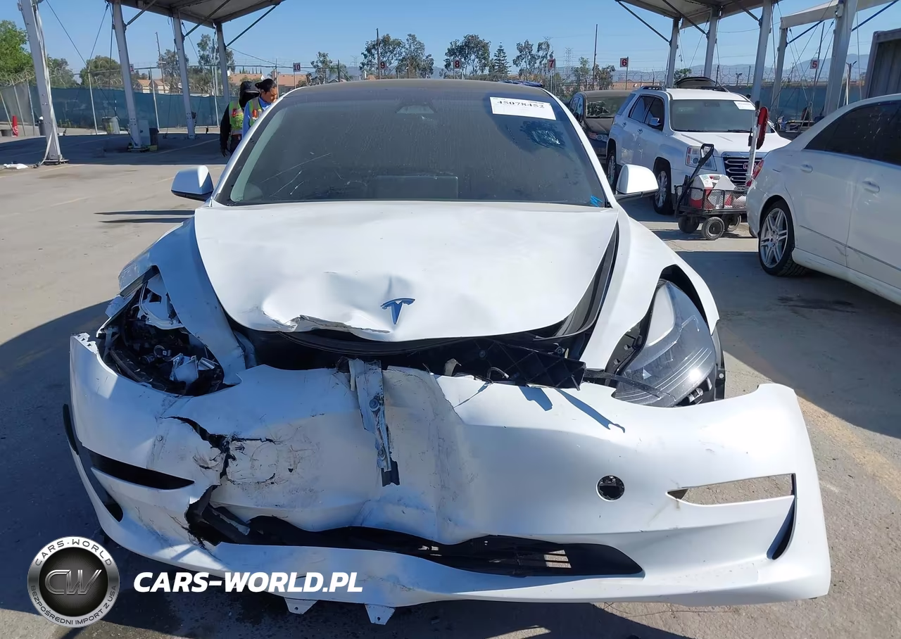 2023 Tesla Model 3 Performance Dual Motor All-Wheel Drive VIN:5YJ3E1EC1PF619807 - 13