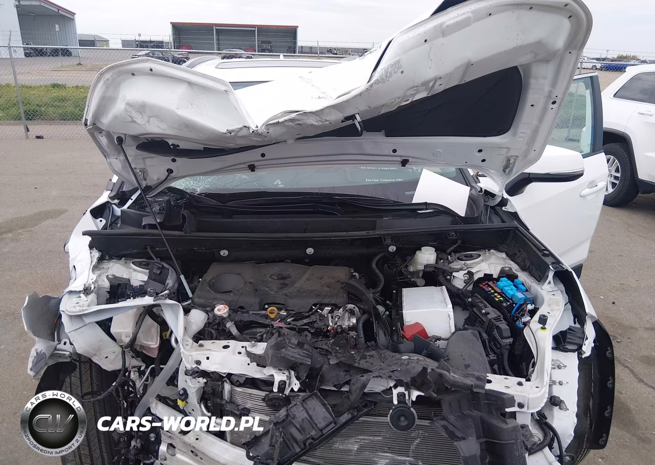 2023 Toyota Rav4 Xle VIN:2T3P1RFV3PC341340 - 10