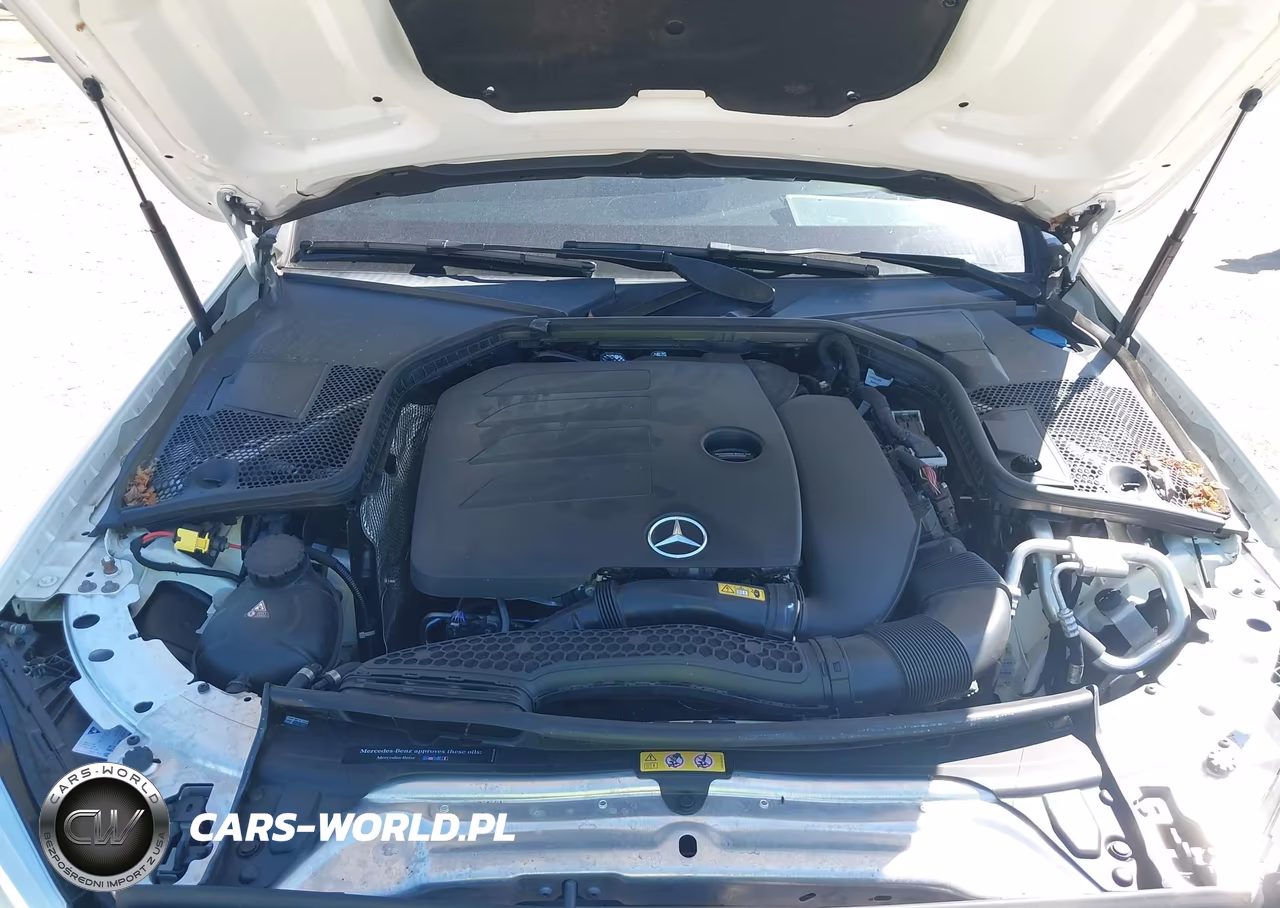 2019 Mercedes-Benz C 300 VIN:55SWF8DB1KU306906 - 10
