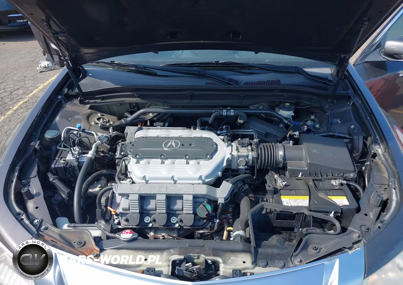 2009 Acura Tl 3.5 VIN:19UUA86569A018172 - 10