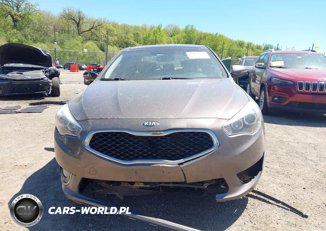 2014 Kia Cadenza Premium VIN:KNALN4D70E5160738 - 13