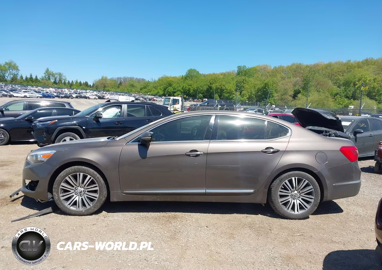 2014 Kia Cadenza Premium VIN:KNALN4D70E5160738 - 15