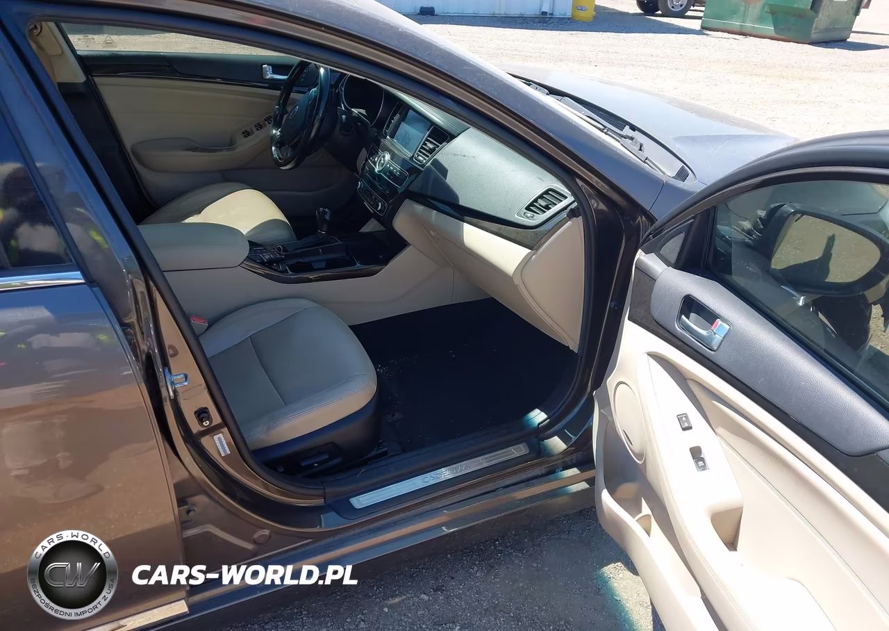 2014 Kia Cadenza Premium VIN:KNALN4D70E5160738 - 5