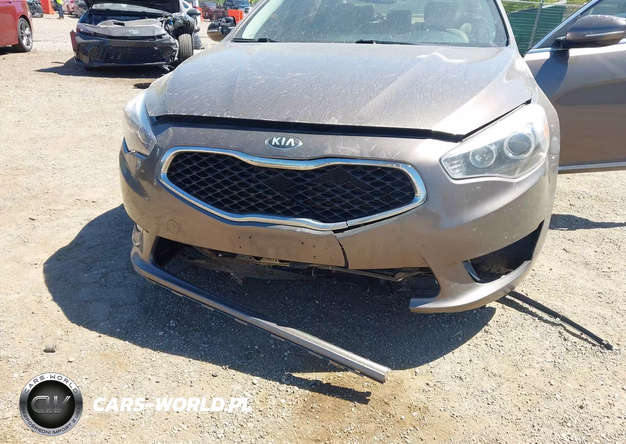 2014 Kia Cadenza Premium VIN:KNALN4D70E5160738 - 6