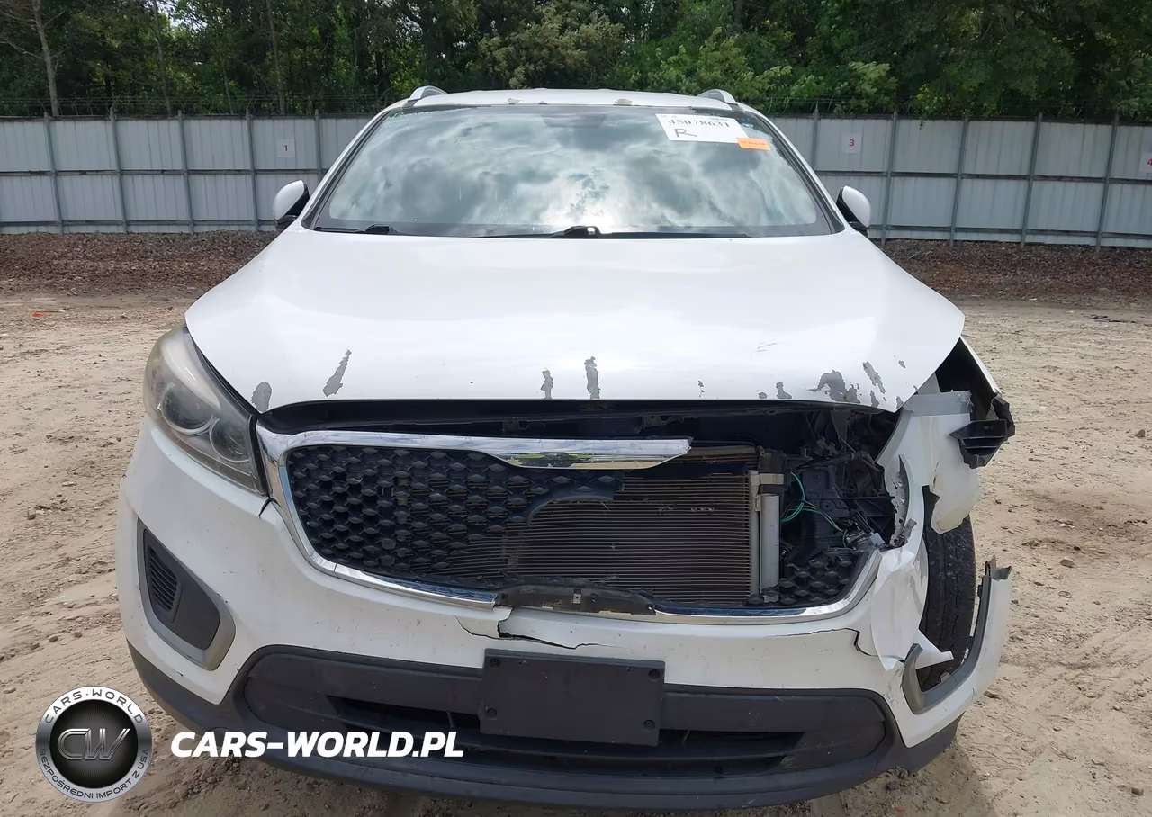 2016 Kia Sorento 2.4L Lx VIN:5XYPGDA38GG167964 - 12
