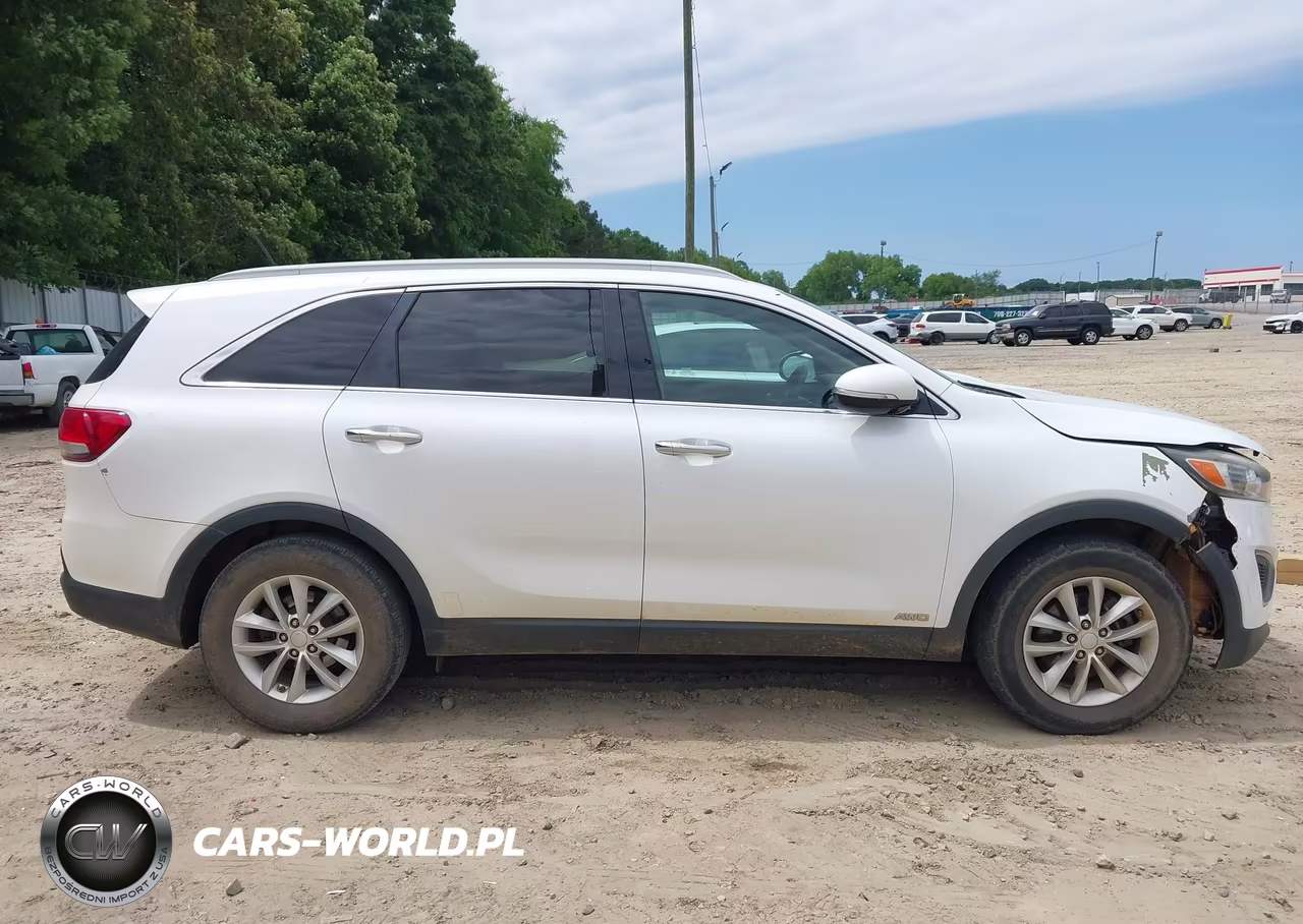 2016 Kia Sorento 2.4L Lx VIN:5XYPGDA38GG167964 - 13