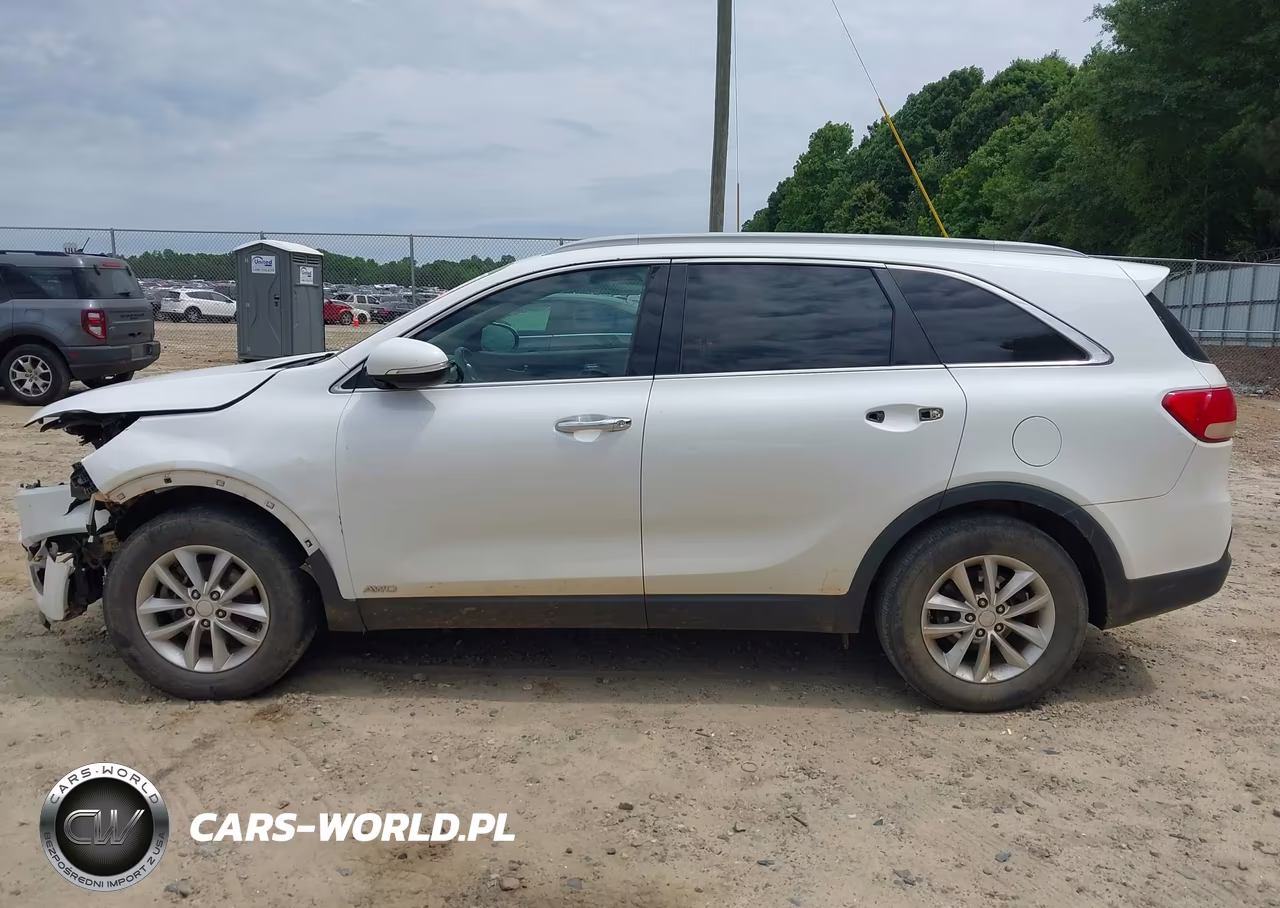 2016 Kia Sorento 2.4L Lx VIN:5XYPGDA38GG167964 - 14