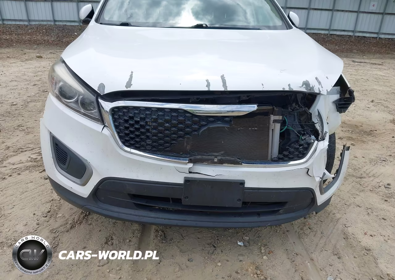 2016 Kia Sorento 2.4L Lx VIN:5XYPGDA38GG167964 - 17