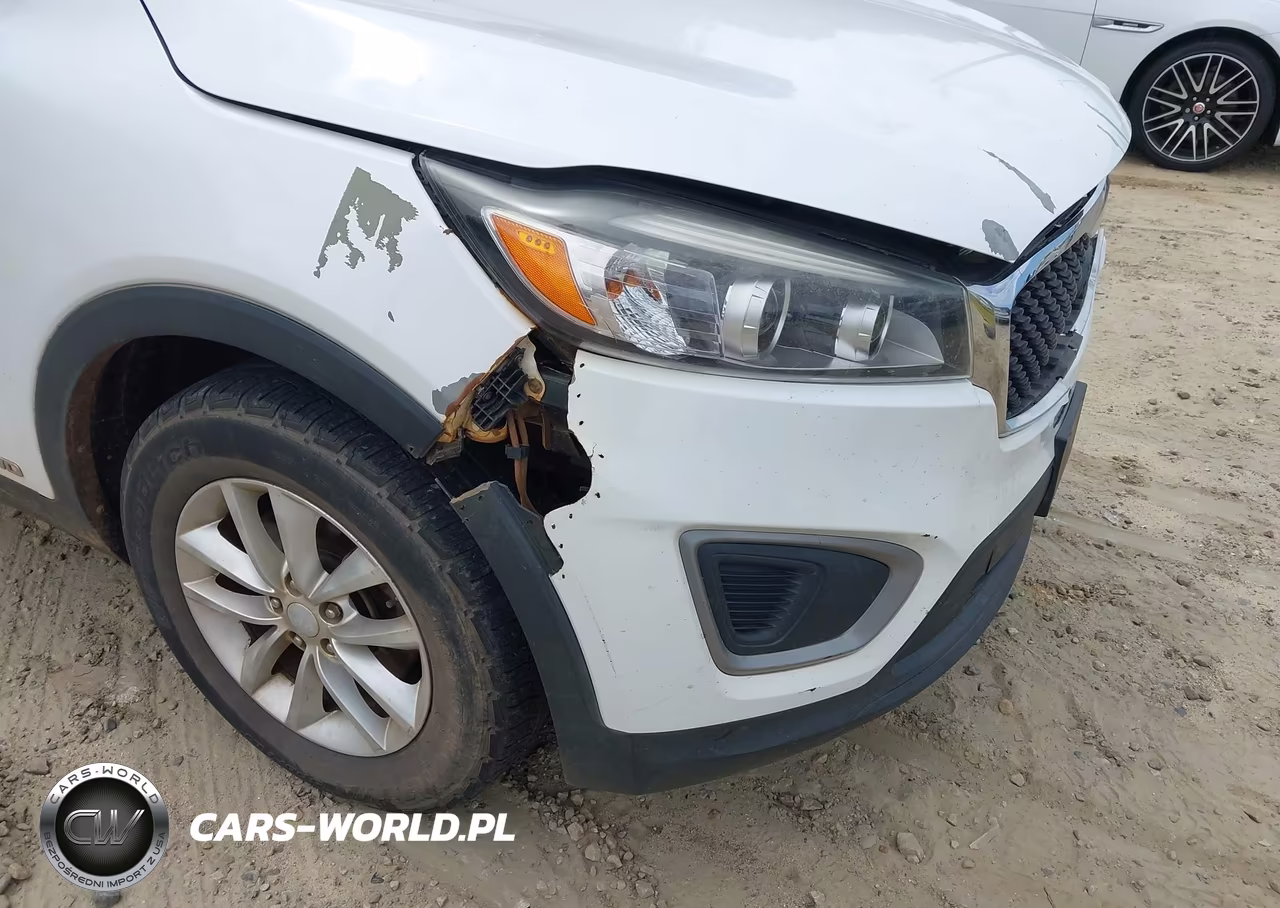 2016 Kia Sorento 2.4L Lx VIN:5XYPGDA38GG167964 - 18