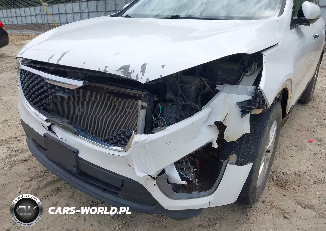 2016 Kia Sorento 2.4L Lx VIN:5XYPGDA38GG167964 - 6