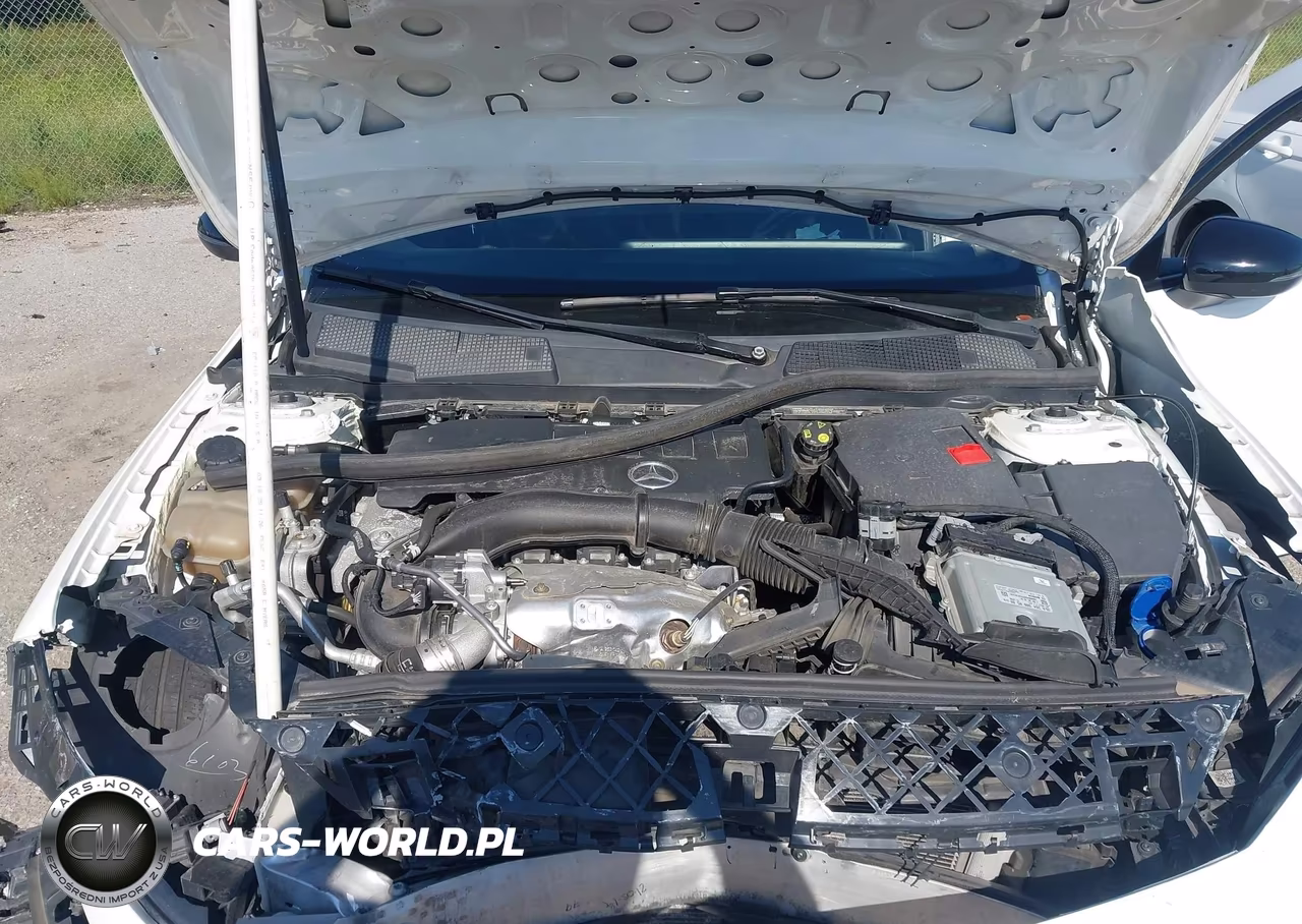 2019 Mercedes-Benz A 220 VIN:WDD3G4EB5KW027341 - 10
