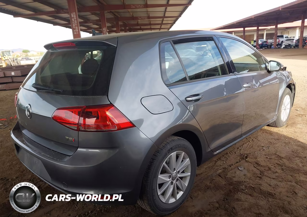 2016 Volkswagen Golf Tsi S 4-Door VIN:3VW217AU3GM029691 - 4
