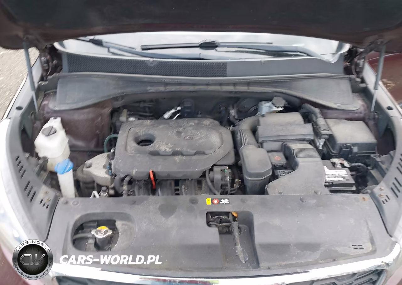 2019 Kia Sorento 2.4L Lx VIN:5XYPGDA3XKG460368 - 10