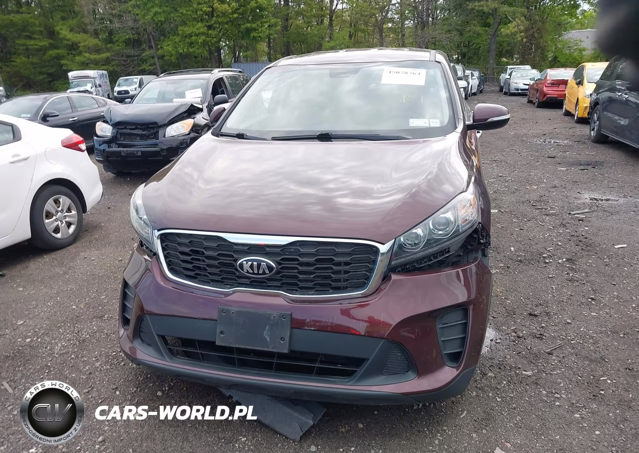 2019 Kia Sorento 2.4L Lx VIN:5XYPGDA3XKG460368 - 12