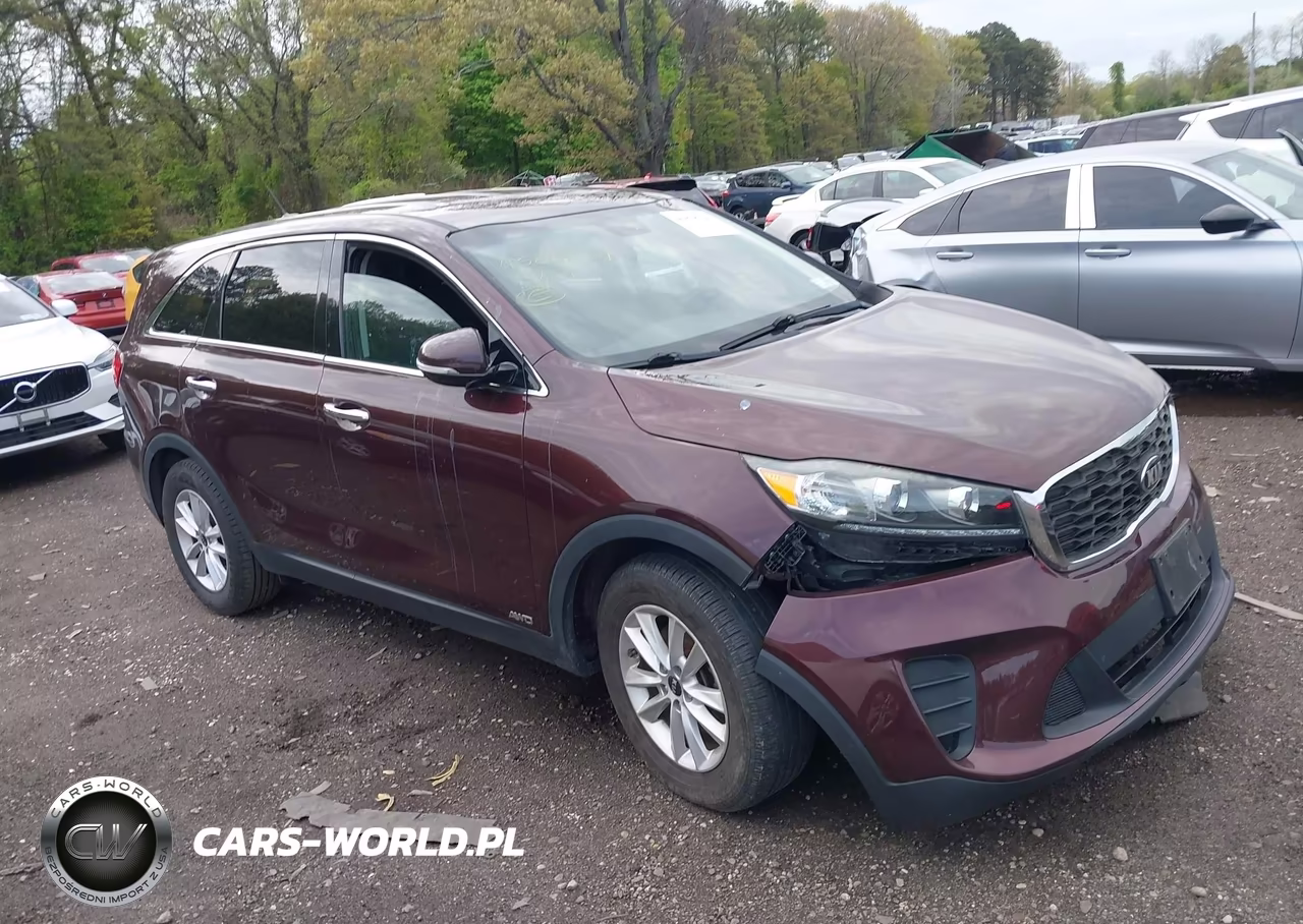 2019 Kia Sorento 2.4L Lx VIN:5XYPGDA3XKG460368 - 13