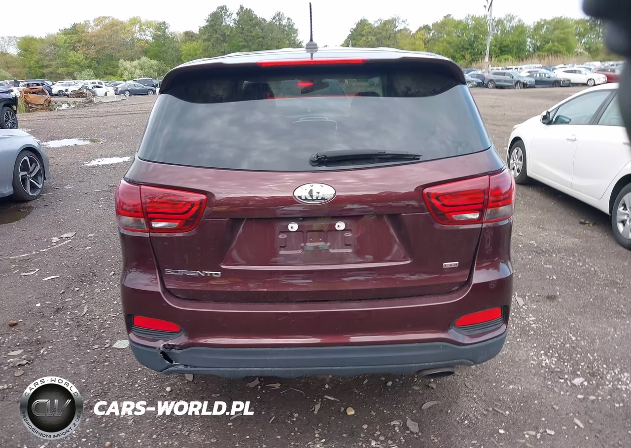 2019 Kia Sorento 2.4L Lx VIN:5XYPGDA3XKG460368 - 16