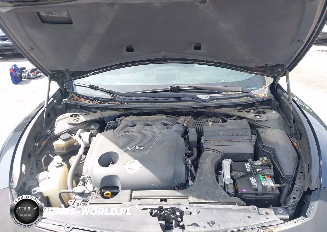 2009 Nissan Maxima 3.5 Sv VIN:1N4AA51E59C819029 - 10