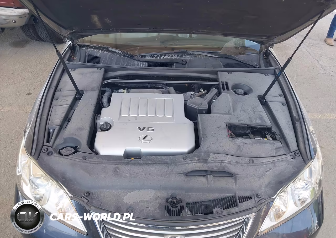 2009 Lexus Es 350 VIN:JTHBJ46G192327041 - 10