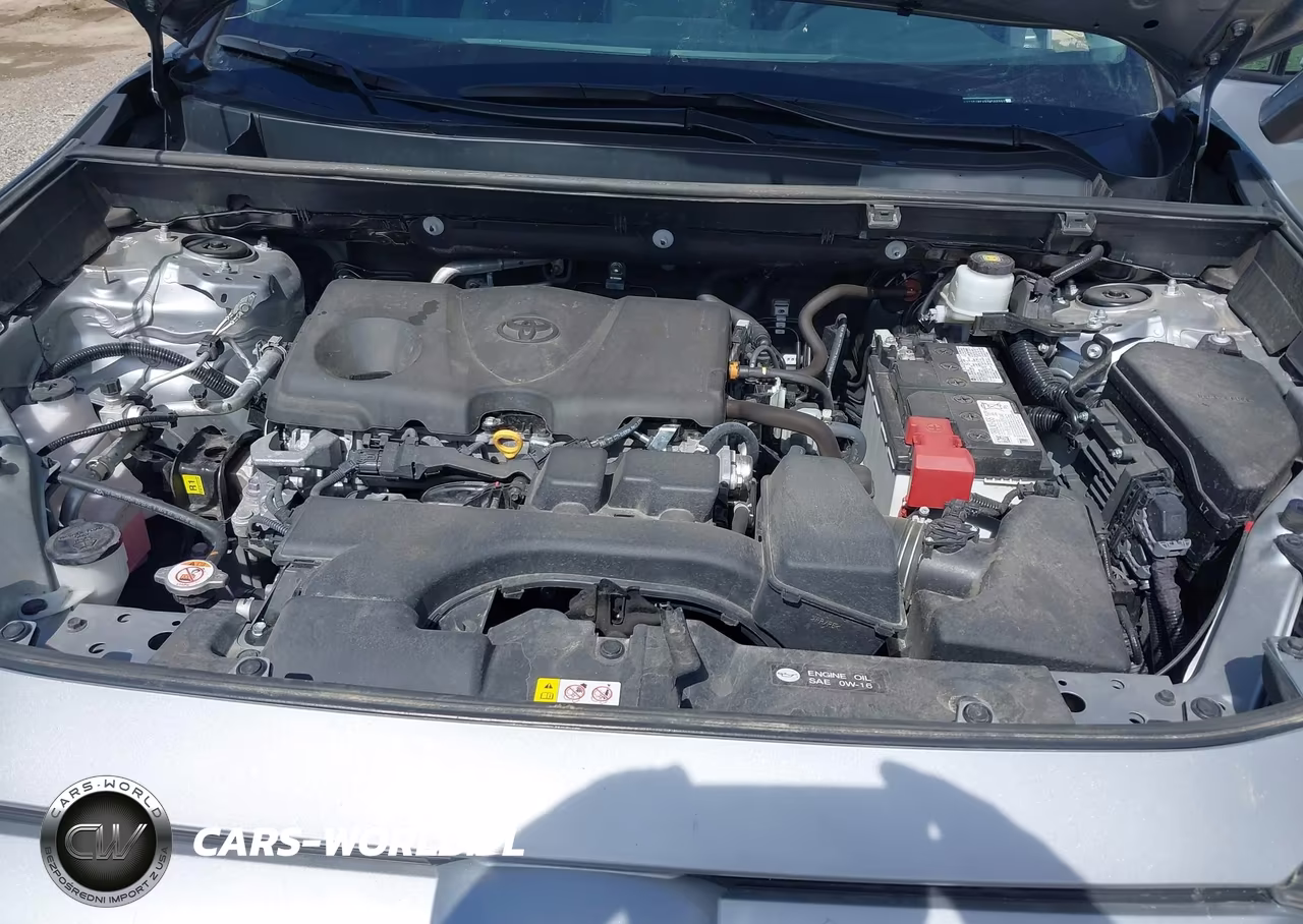 2025 Toyota Rav4 Xle VIN:2T3P1RFV8SW566991 - 10