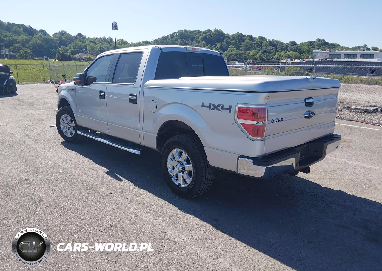 2013 Ford F-150 Xlt VIN:1FTFW1ET5DKG08348 - 3