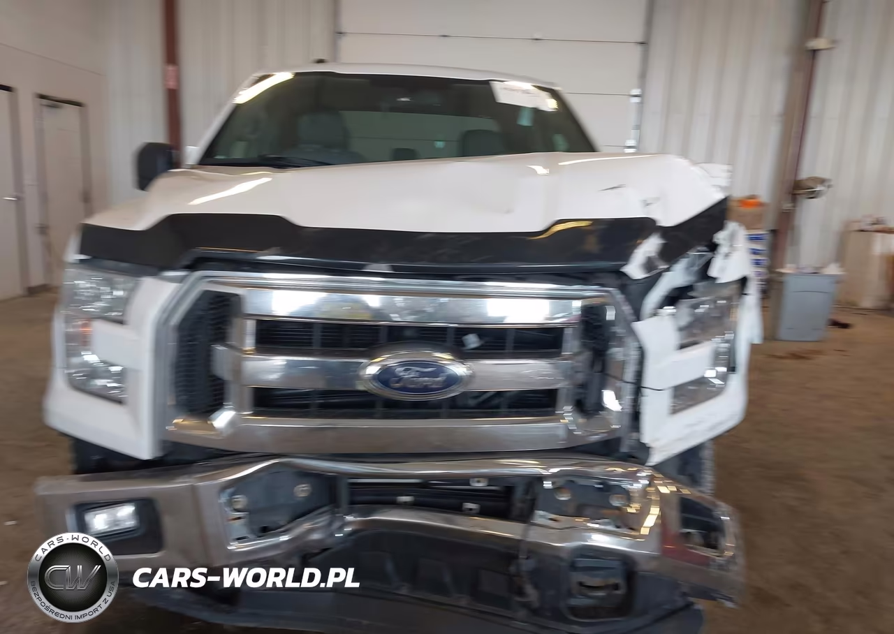 2016 Ford F-150 Xlt VIN:1FTEX1EP4GFA19574 - 12