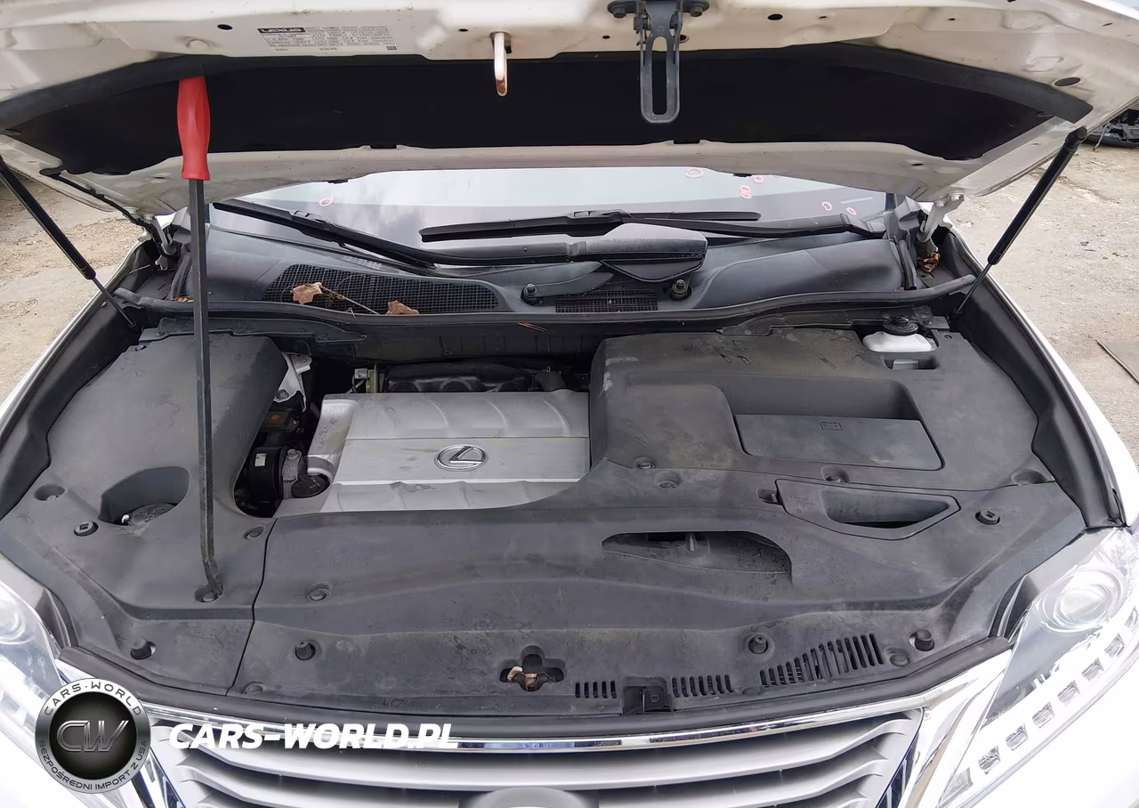 2013 Lexus Rx 350 VIN:2T2BK1BA9DC201045 - 10