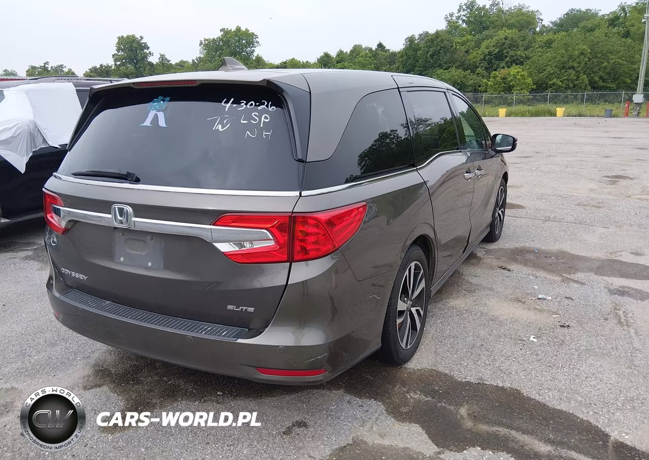 2019 Honda Odyssey Elite VIN:5FNRL6H92KB060502 - 4