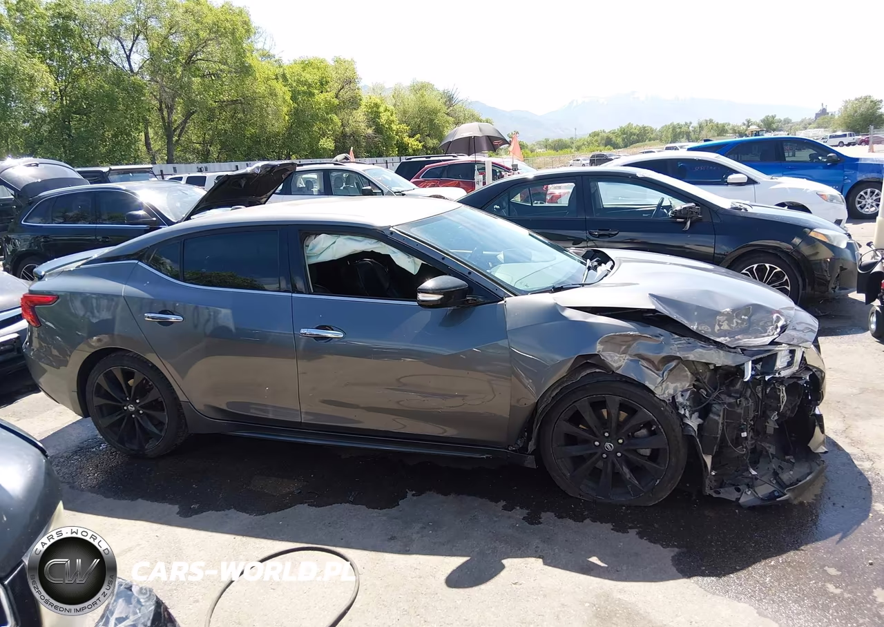 2017 Nissan Maxima 3.5 Sr VIN:1N4AA6AP0HC445547 - 13
