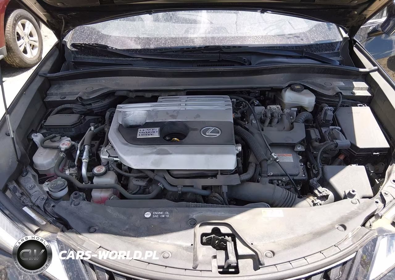 2020 Lexus Ux 250H VIN:JTHX9JBH0L2027123 - 10