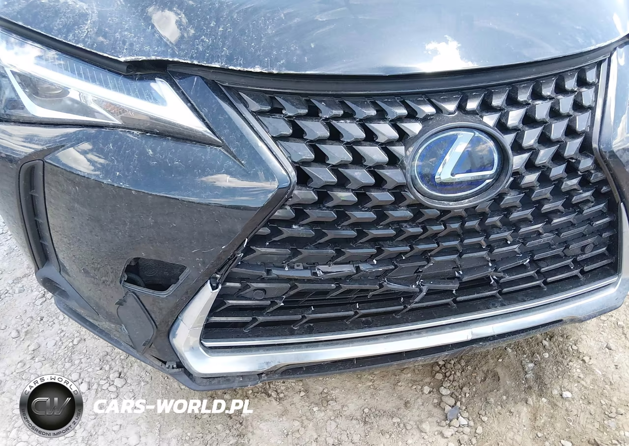 2020 Lexus Ux 250H VIN:JTHX9JBH0L2027123 - 6