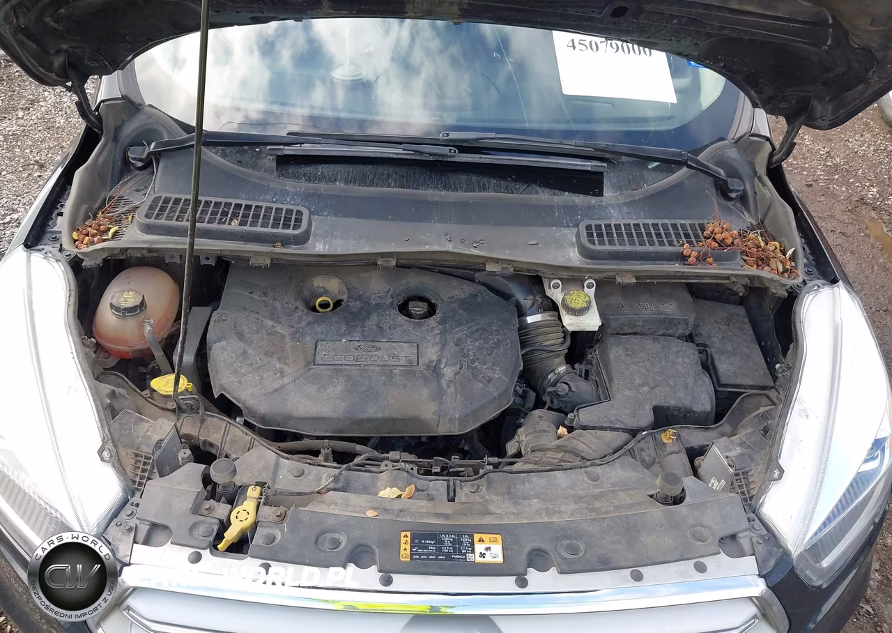 2019 Ford Escape Titanium VIN:1FMCU0J95KUA18113 - 10