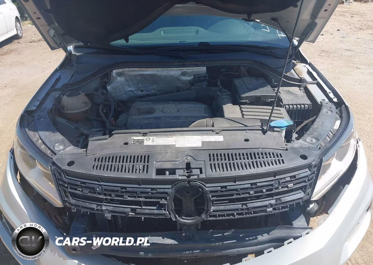 2013 Volkswagen Tiguan S VIN:WVGAV3AX0DW610028 - 10
