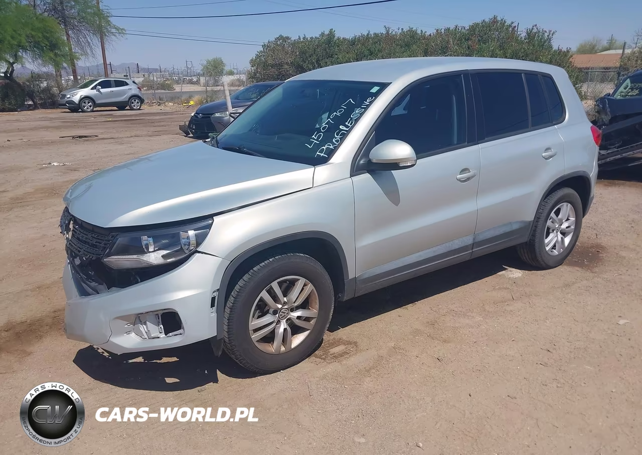 2013 Volkswagen Tiguan S VIN:WVGAV3AX0DW610028 - 2