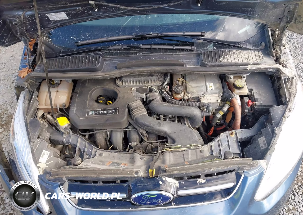 2018 Ford C-Max Hybrid Titanium VIN:1FADP5DU7JL105583 - 10