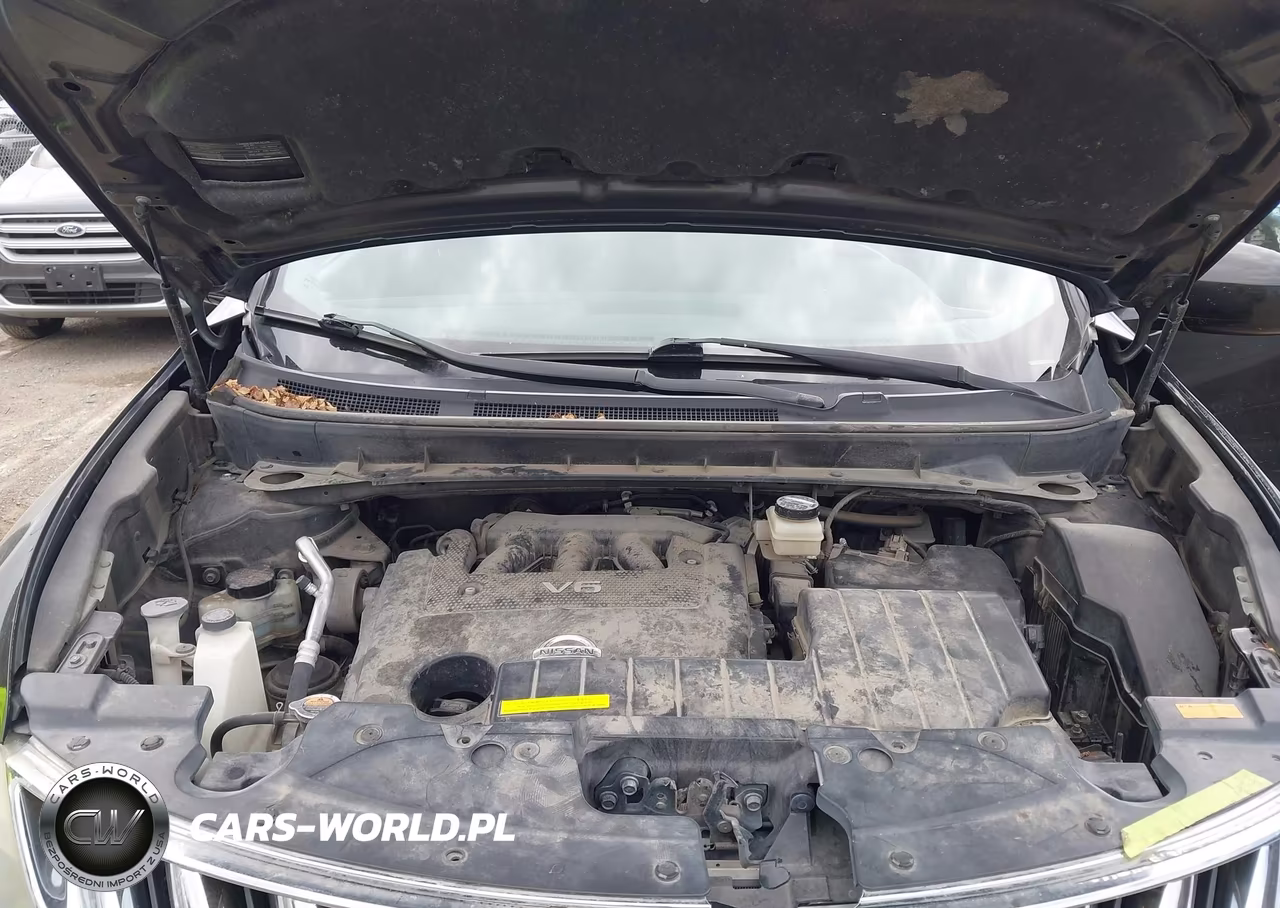 2010 Nissan Murano Sl VIN:JN8AZ1MW6AW103327 - 10