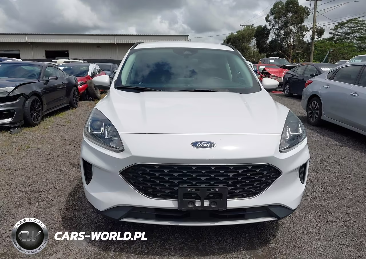 2021 Ford Escape Se Hybrid VIN:1FMCU0BZ0MUA54275 - 12