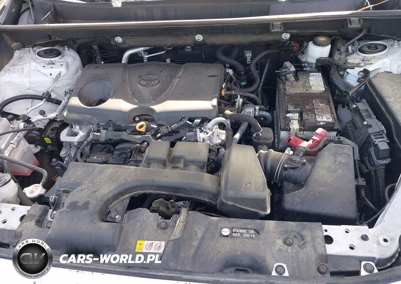 2023 Toyota Rav4 Xle VIN:2T3W1RFV2PC243377 - 10