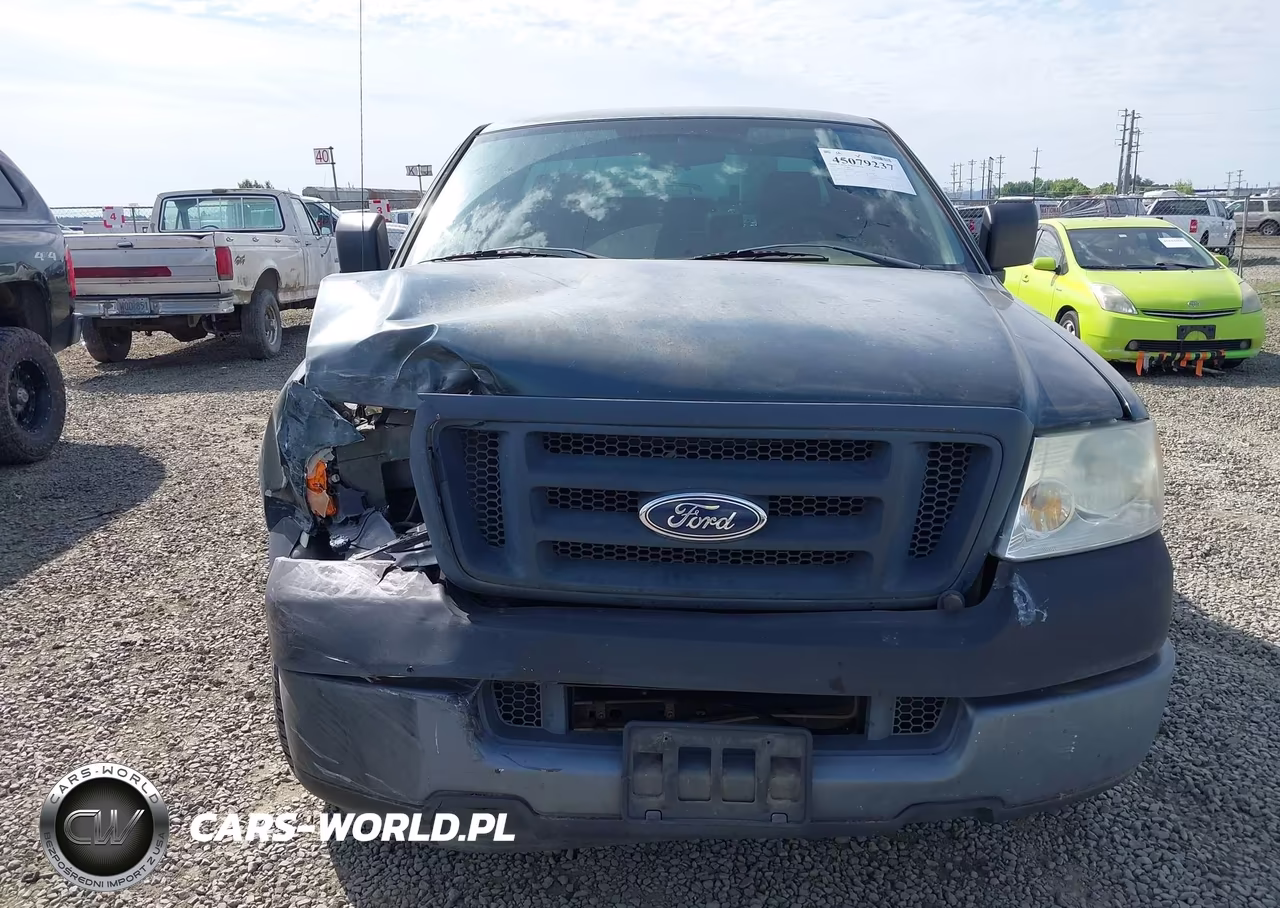 2005 Ford F-150 Stx-Xl-Xlt VIN:1FTRF12205NB70380 - 12