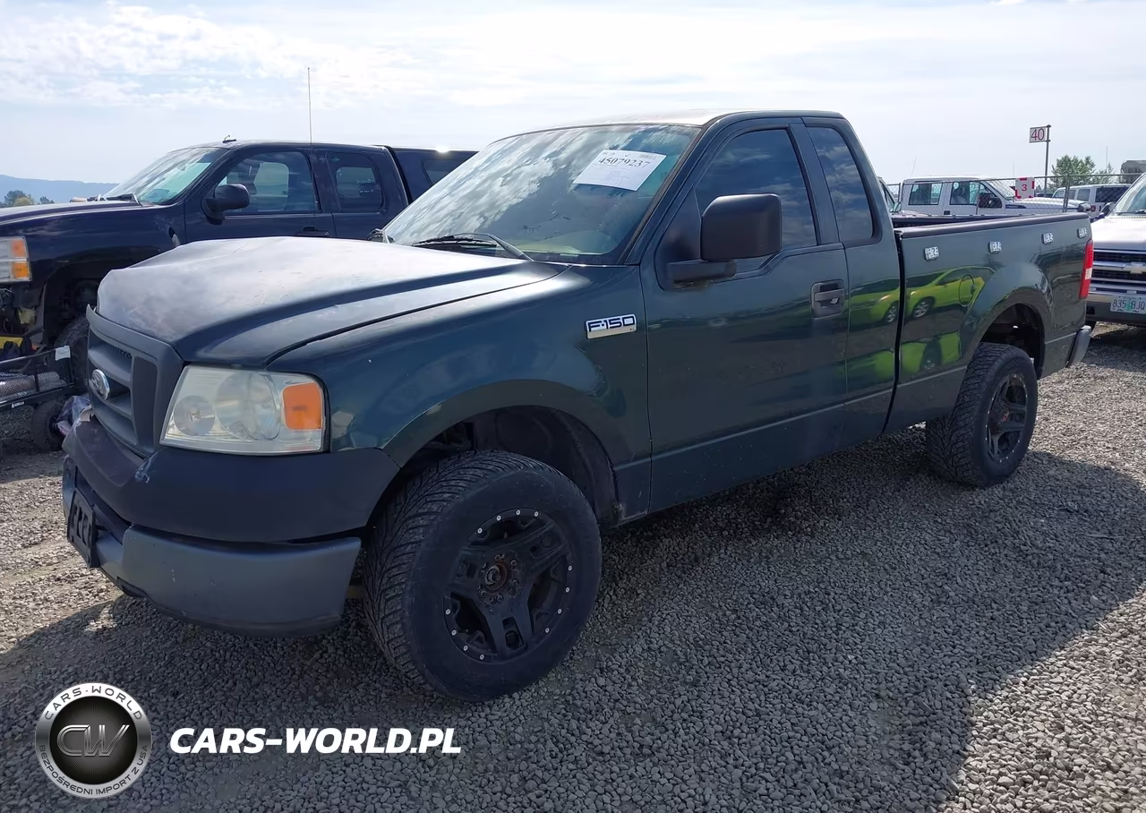 2005 Ford F-150 Stx-Xl-Xlt VIN:1FTRF12205NB70380 - 2