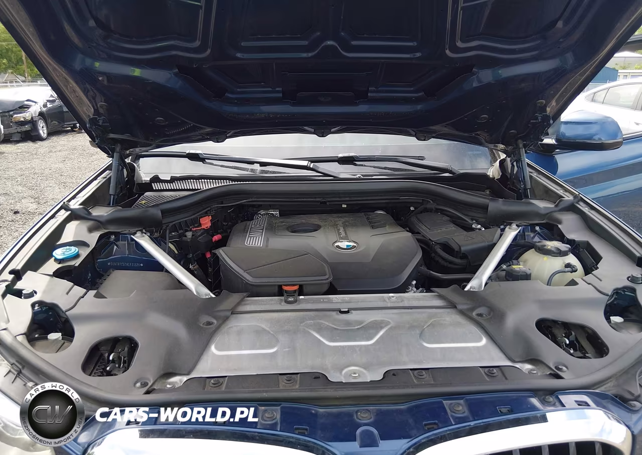 2019 BMW X3 Sdrive30I VIN:5UXTR7C57KLF31329 - 10