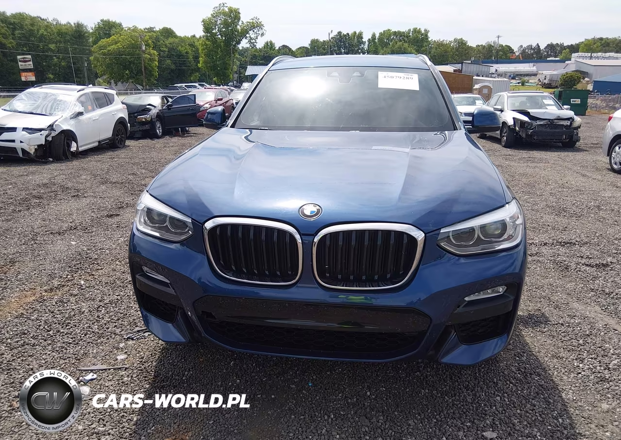 2019 BMW X3 Sdrive30I VIN:5UXTR7C57KLF31329 - 12