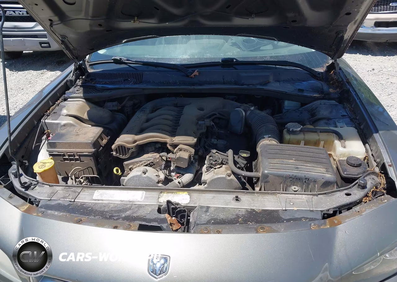 2010 Dodge Charger Sxt VIN:2B3CA3CV5AH247869 - 10